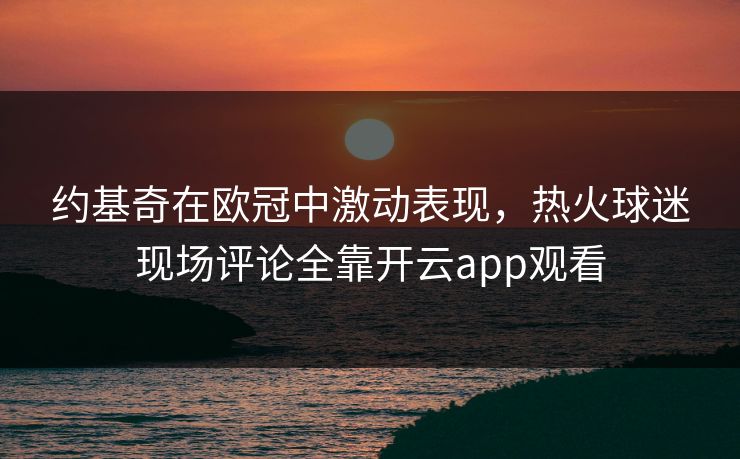 约基奇在欧冠中激动表现，热火球迷现场评论全靠开云app观看